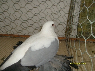 4b25424928cbe